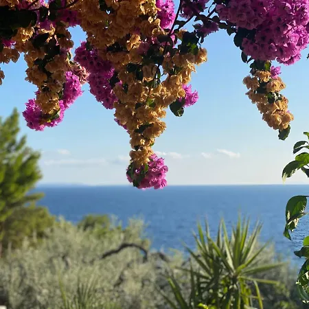 Casa Fortuna 아파트 *